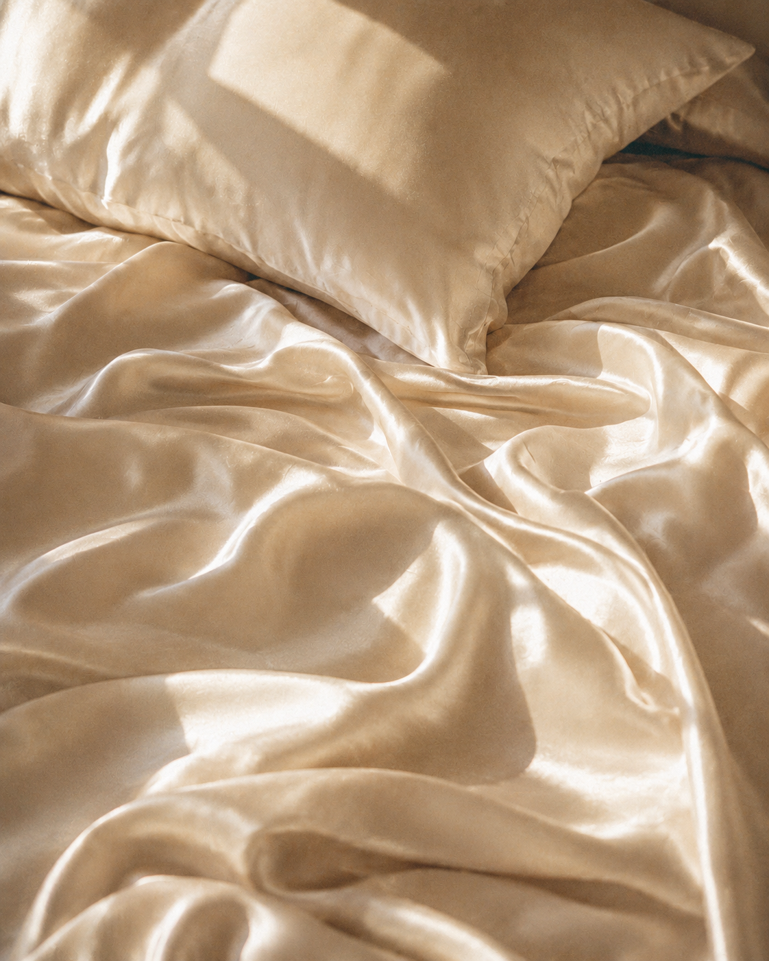Silk Nights